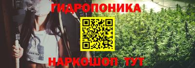 spice Краснодар