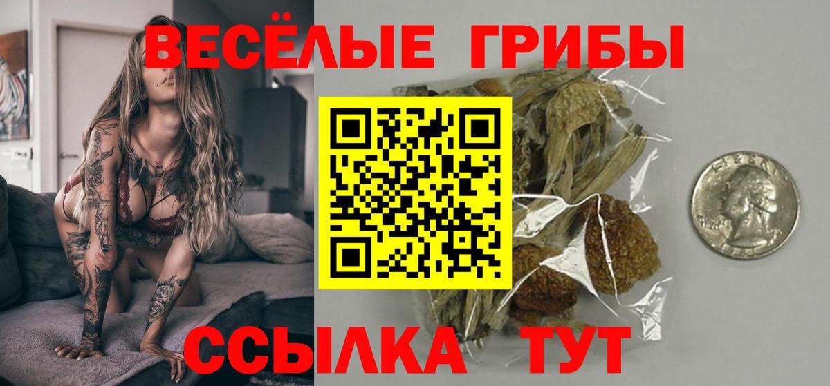 Псилоцибиновые грибы ЛСД  Псилоцибиновые грибы GOLDEN TEACHER  как найти наркотики  Кировск  Вход с VPN 